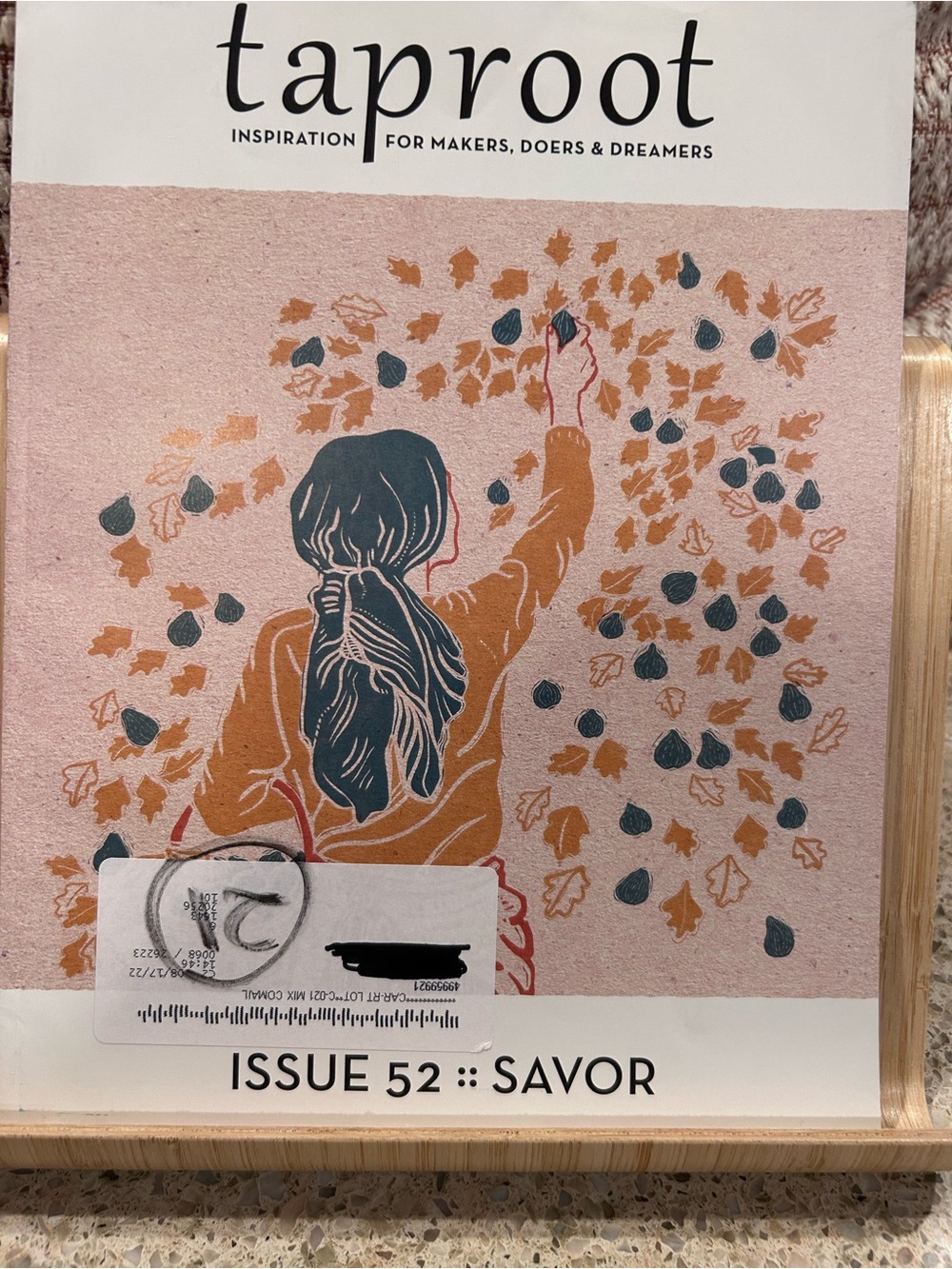 6 issues taproot magazine